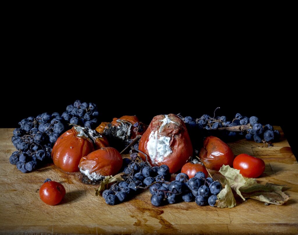 18.09.2025 methamorphosis – c-Heike Zappe