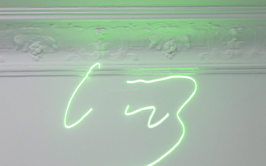 Kunstraum-Kreuzberg_Ruben-Grilo_Laser22_Learning-from-Weeds-1280×800