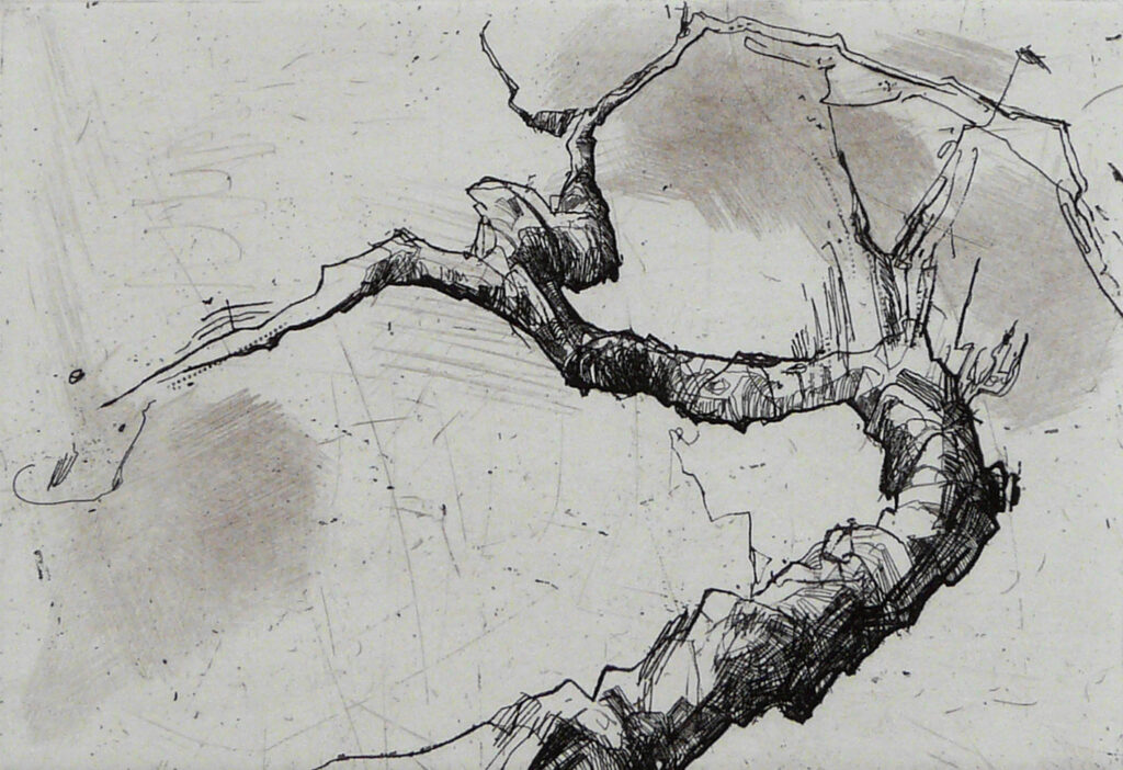 Peter Schulz Leonhardt, Im Garten unter Bäumen, 2019, Ra dierung