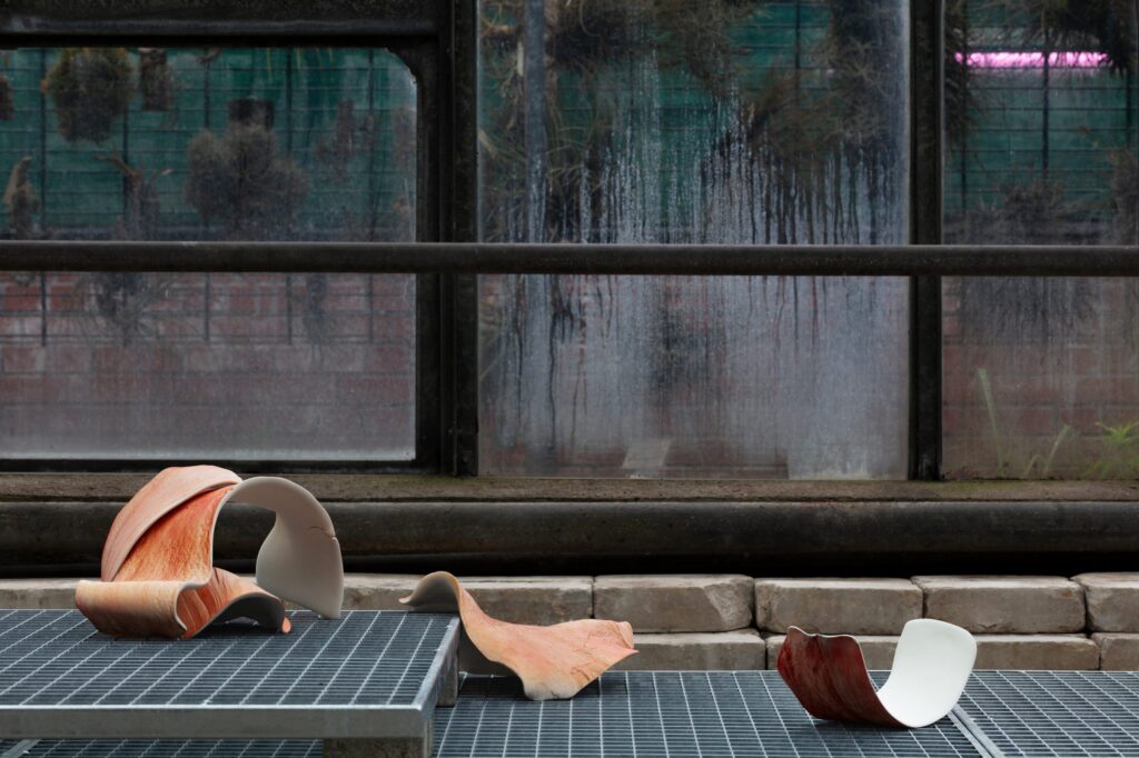 Tuebke_Juliane_Erl_Historischer_Keller-2048×1364