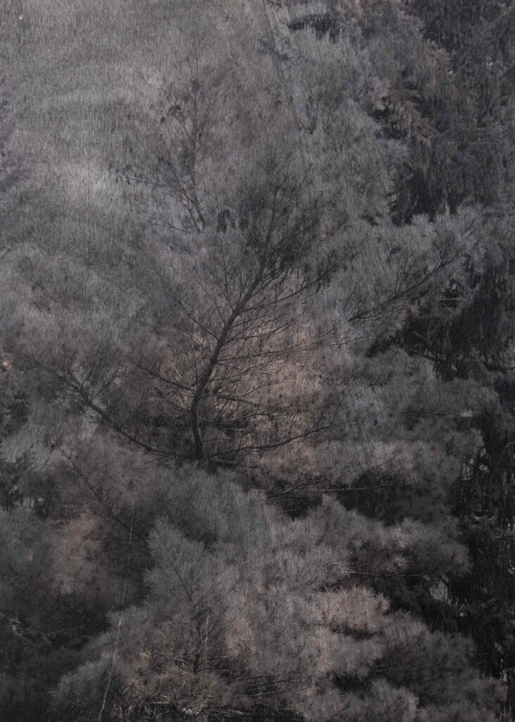Mirjana Vrbaški_CB1, 2026, Charred UV print on wood